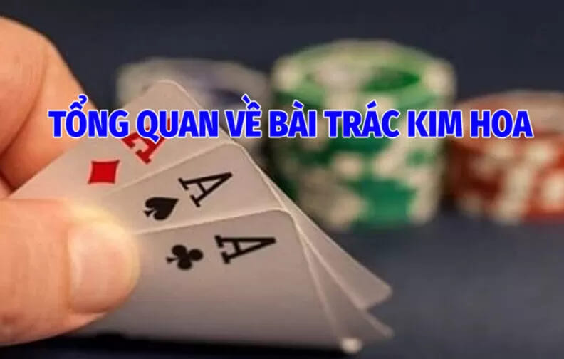 Tổng Quan Về Bài Trác Kim Hoa 888b