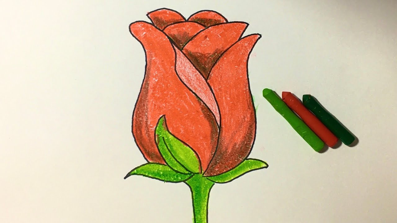 Cách Vẽ Và Tô Màu Hoa Hồng | How to draw a rose